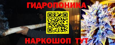 ALPHA-PVP Бердск