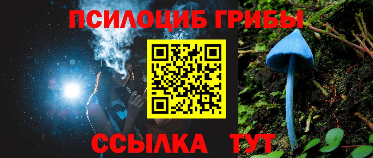 купить наркотик  Вход с VPN  Благодарный  Галлюциногенные грибы GOLDEN TEACHER 