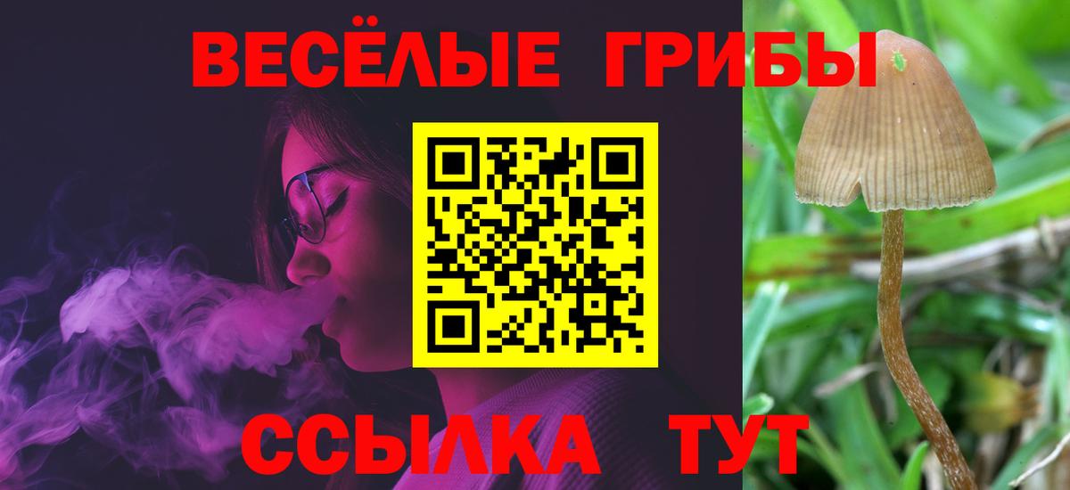 Благодарный  Вход с VPN  МЕТ  Меф   ТГК  МАРИХУАНА  ГАШИШ  КОКАИН 